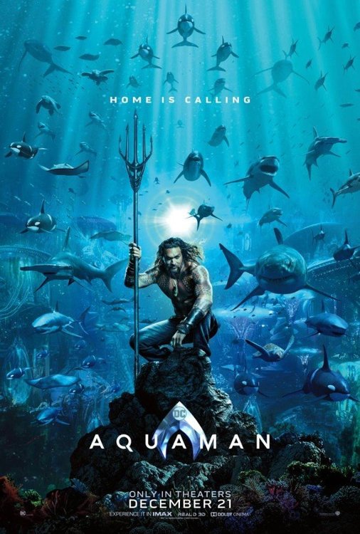 66728586_2018.12-Aquaman-Movie-Poster-Jason-Momoa.thumb.jpg.32f6059d38d94ab4c1ee33ef1f73738b.jpg
