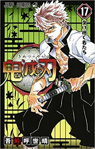 kimetsu-no-yaiba-17-jp.jpg.c0210bc4e25285bd8d72e88b97727ac2.jpg