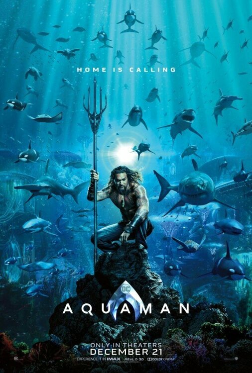 446810689_2018.12-Aquaman-Movie-Poster-Jason-Momoa.thumb.jpg.135796d2b8aac30404a9809dce7fa559.jpg