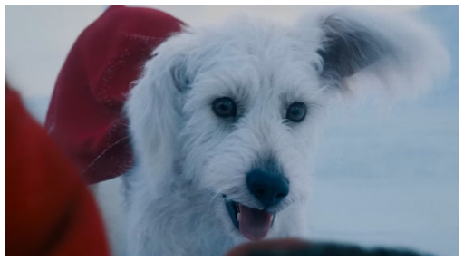 192565897_vignetteKrypto(1).png.6e8e476fb71dc20db14abae4087d0bf4.png