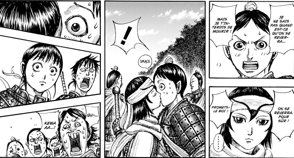 chapitre 851 Kingdom p13 fin de page.png